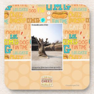 I iz shaolin paws of fury coaster