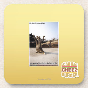 I iz shaolin paws of fury coaster