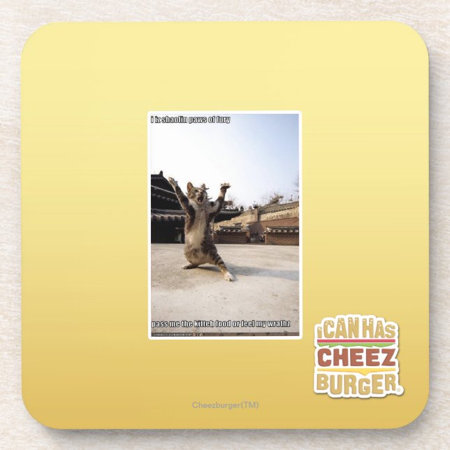 I iz shaolin paws of fury coaster (Front)