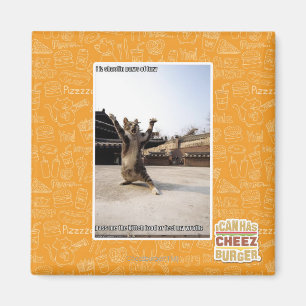 I iz shaolin paws of fury magnet