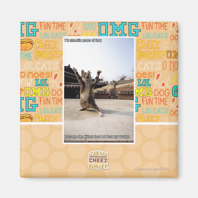 I iz shaolin paws of fury magnet (Front)