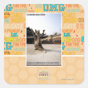 I iz shaolin paws of fury square sticker