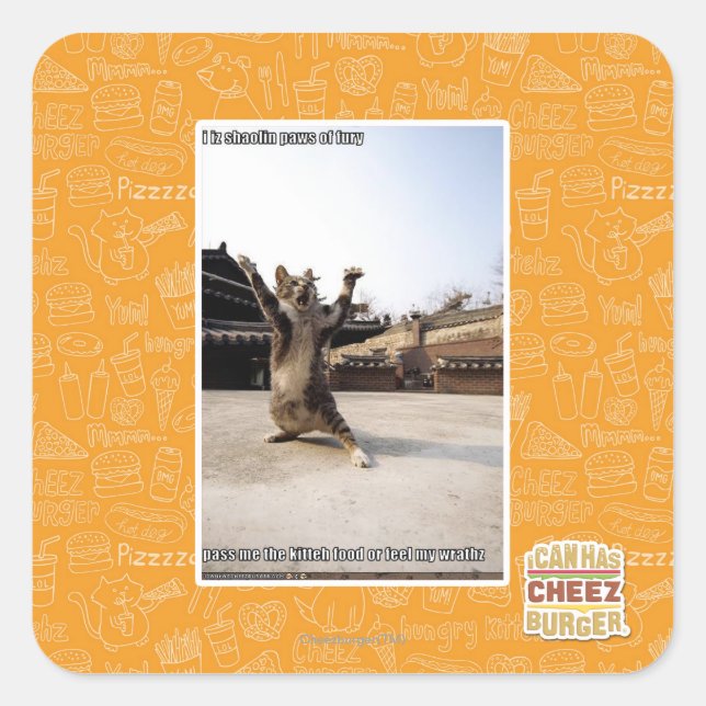 I iz shaolin paws of fury square sticker (Front)