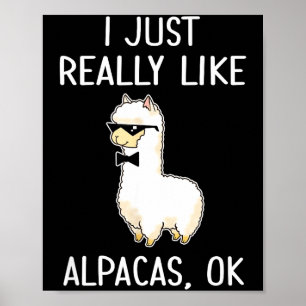 I Just Really Like Alpacas, Ok_ Llama Alpaca Poster