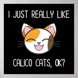 I Just Really Like Calico Cats Ok? Cute Calico Cat Poster