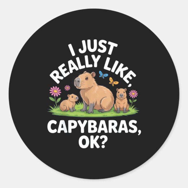 I Just Really Like Capybaras Ok_ Animal Lover Funn Classic Round Sticker (Front)