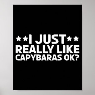 I Just Really Like Capybaras Ok Capy Rodent Capyba Poster