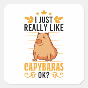 I Just Really Like Capybaras Ok Capybara Square Sticker