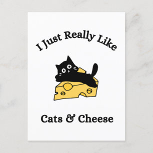 I Just Really Like Cats & Cheese Black Writing Postcard