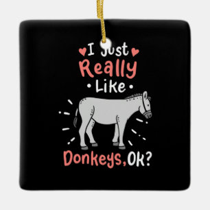 I Just Really Like Donkeys Ceramic Ornament