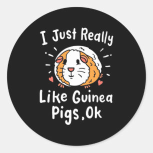I Just Really Like Guinea Pigs Classic Round Sticker