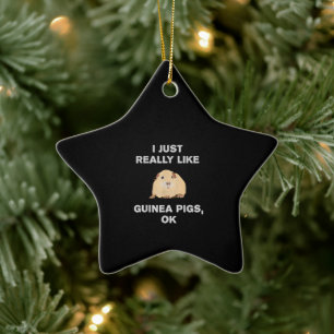 I Just Really Like Guinea Pigs Ok Funny Guinea Pig Ceramic Tree Decoration