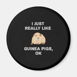 I Just Really Like Guinea Pigs Ok Funny Guinea Pig Magnet
