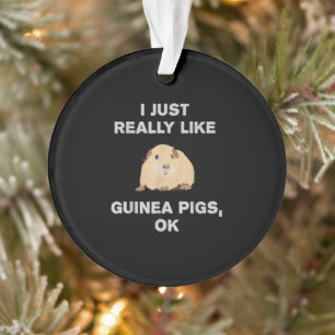 I Just Really Like Guinea Pigs Ok Funny Guinea Pig Ornament