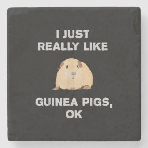 I Just Really Like Guinea Pigs Ok Funny Guinea Pig Stone Coaster