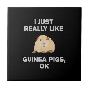 I Just Really Like Guinea Pigs Ok Funny Guinea Pig Tile