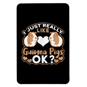 I Just Really Like Guinea Pigs OK ? Magnet
