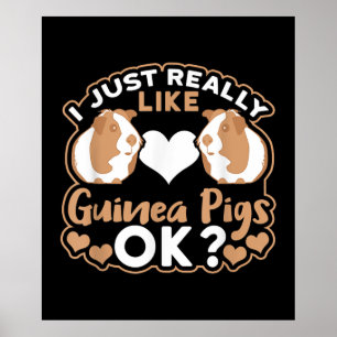 I Just Really Like Guinea Pigs OK ? Poster