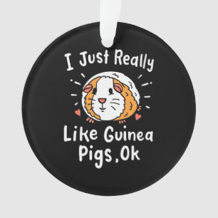 I Just Really Like Guinea Pigs Ornament