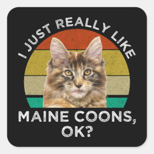 I Just Really Like Maine Coons, Ok? Square Sticker