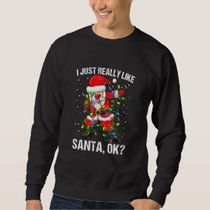 I Just Really Like Santa Claus Sweatshirt