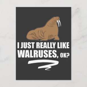 I Just Really Like Walruses OK - Funny Walrus Postcard