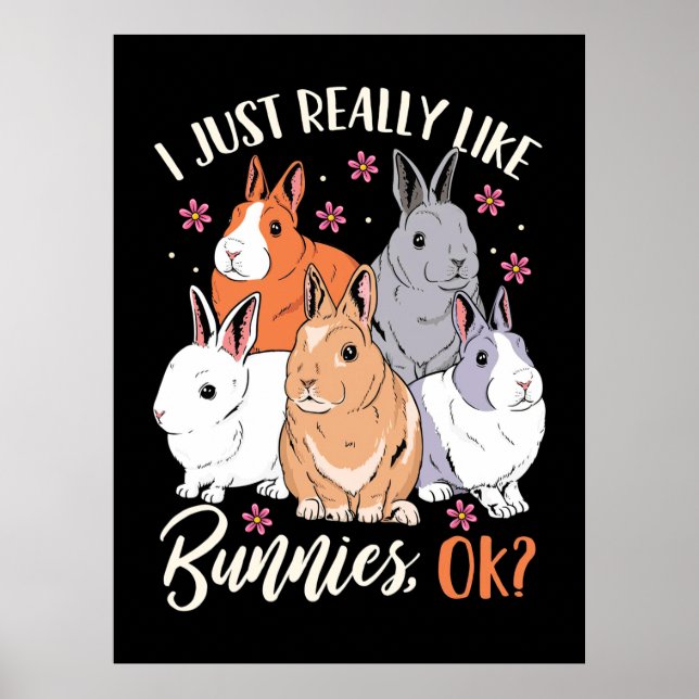 I Just Really Likes Rabbits Poster (Front)