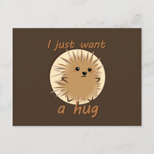 I Just Want A Hug Postcard