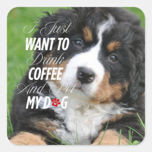 I Just Want To Drink...Modern Custom Pet Photo Square Sticker