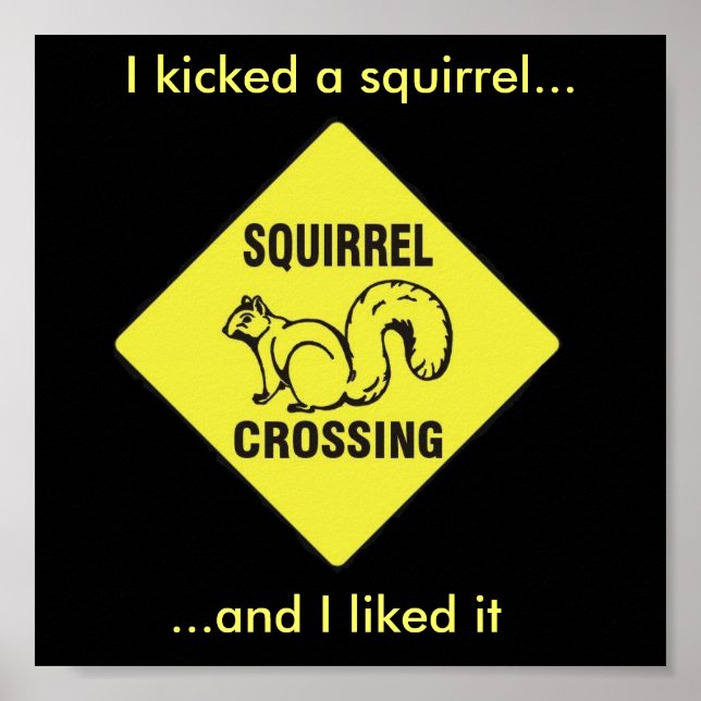 I kicked a squirrel poster (Front)