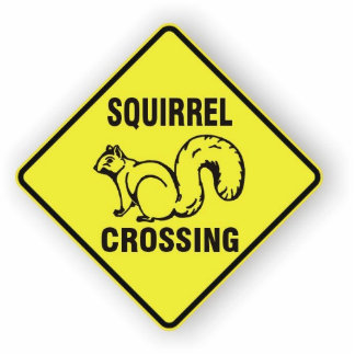 I kicked a squirrel sculpture standing photo sculpture