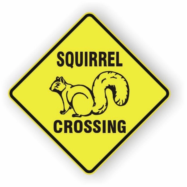 I kicked a squirrel sculpture standing photo sculpture (Front)