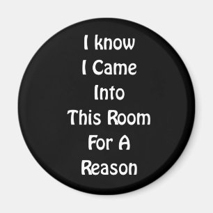 I Know I Came Into This Room Magnet