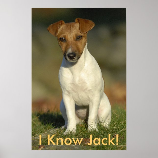 I Know Jack! Poster (Front)