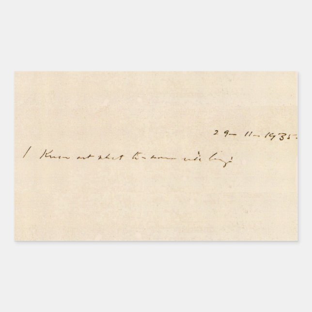 I know not what tomorrow will bring rectangular sticker (Front)