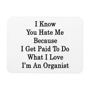 I Know You Hate Me Because I Get Paid To Do What I Magnet
