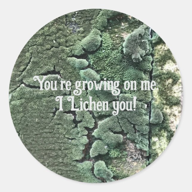 I Lichen you sticker (Front)