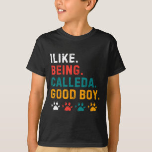 I Like Being Called A Good Boy Dog Pet Puppy Paren T-Shirt