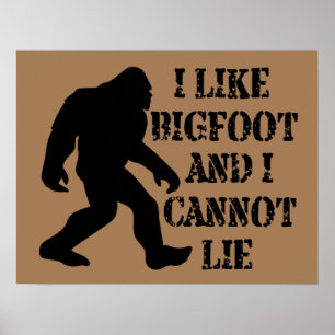 I like Bigfoot and I cannot Lie Poster