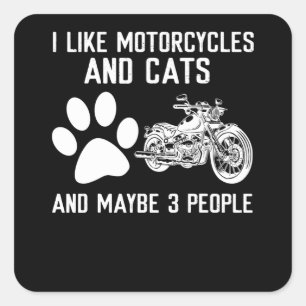 I Like Bourbon And My Motorcycle And Maybe Square Sticker