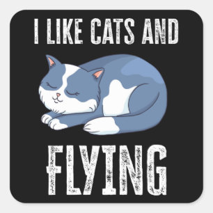 I like Cats and Flying Gift Square Sticker