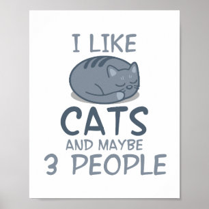 I Like Cats and Maybe 3 People Funny Cat Quote Poster