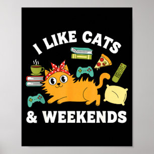 I Like Cats And Weekends Lover Funny Cozy Gamer Qu Poster
