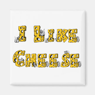 I like cheese magnet