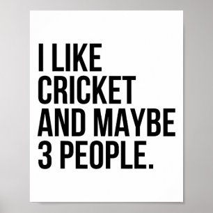 I Like Cricket And Maybe 3 People Funny Cricket Lo Poster