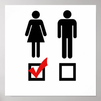 I like girls poster