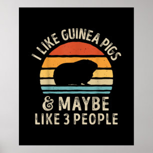 I Like Guinea Pigs And Maybe 3 People Funny Poster