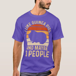 I Like Guinea Pigs & Maybe 3 People Vintage Sunset T-Shirt