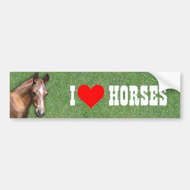I like Horses Bumper Sticker (Front)