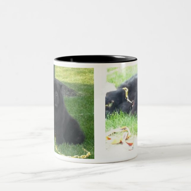 I Like my Chows & Coffee Black Two-Tone Coffee Mug (Center)